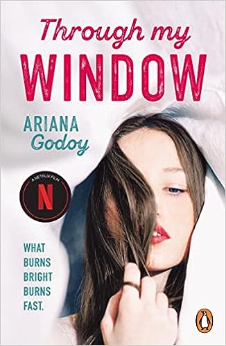 through my window  the million copy bestselling netflix sensation 