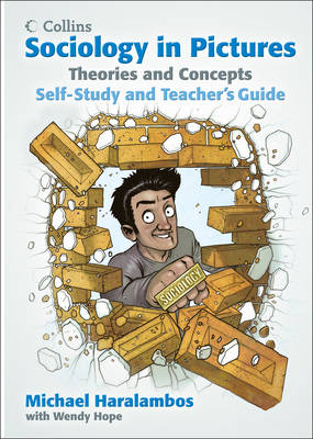 sociology in pictures - theories and concept