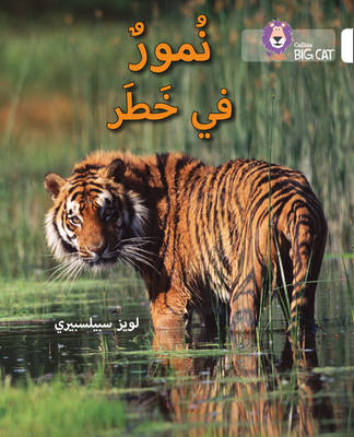 big cat arabic - tigers in danger