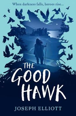 the good hawk the good hawk