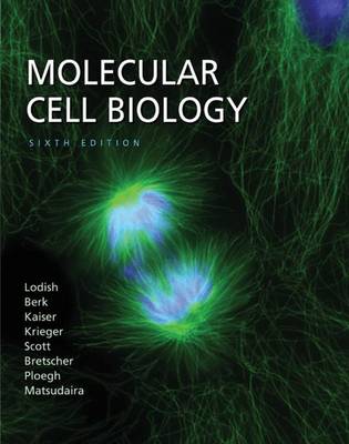 molecular cell biology  6/ed